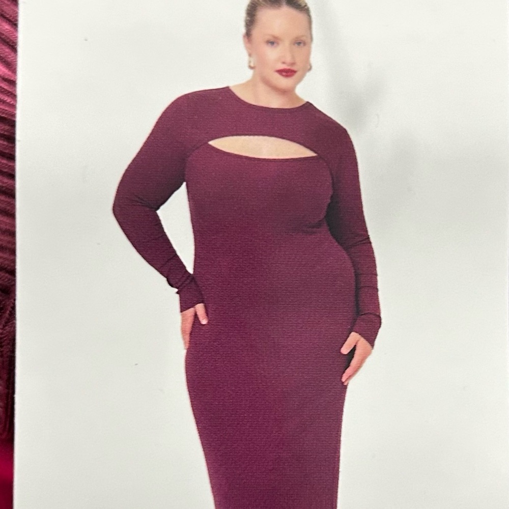 Chic Long Sleeve Burgundy Dress